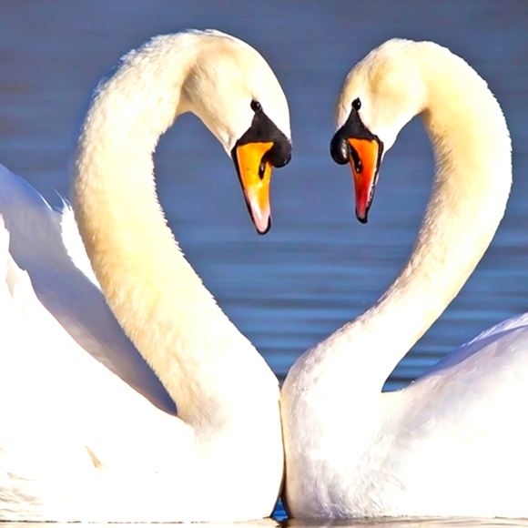 MAKE ME AN OFFER  ON ANYTHING YOU LOVE IN MY CLOSET - Picture 1 of 1